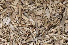 biomass boilers Toadmoor